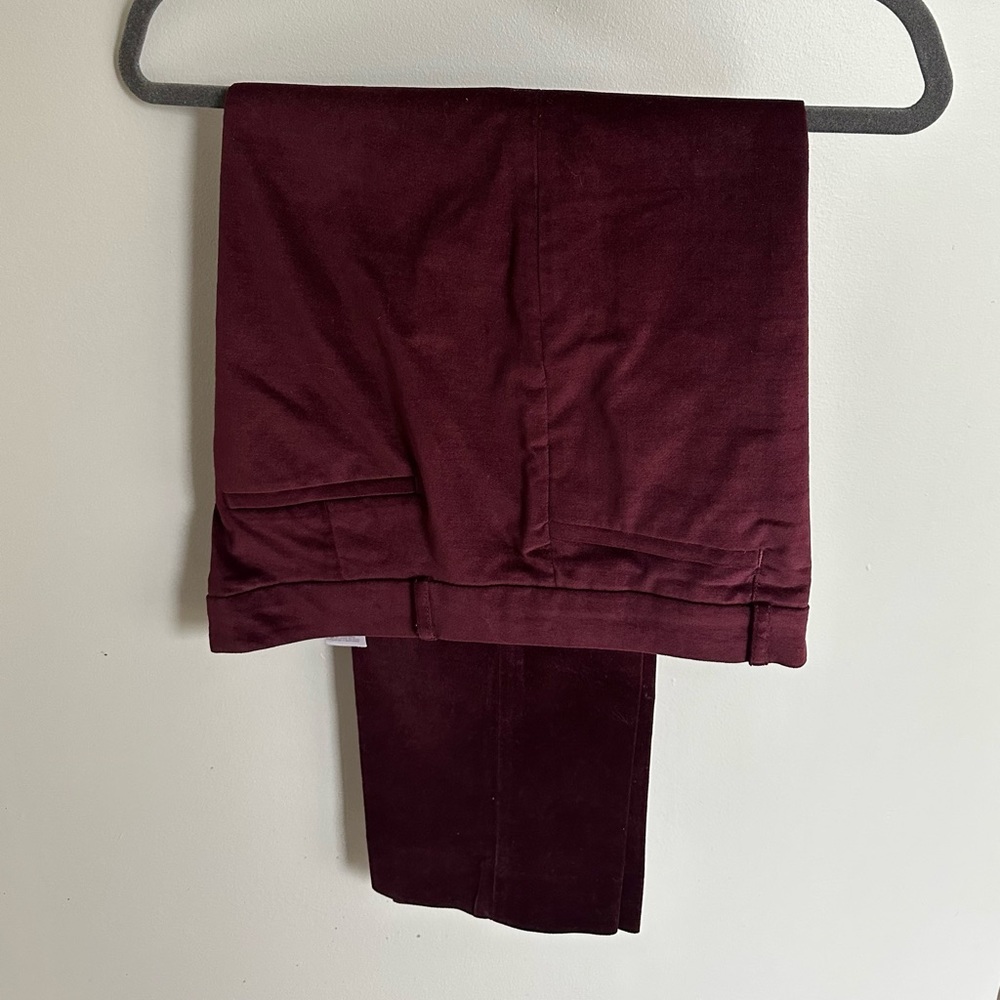 Burgundy Banana Republic Velour Pants